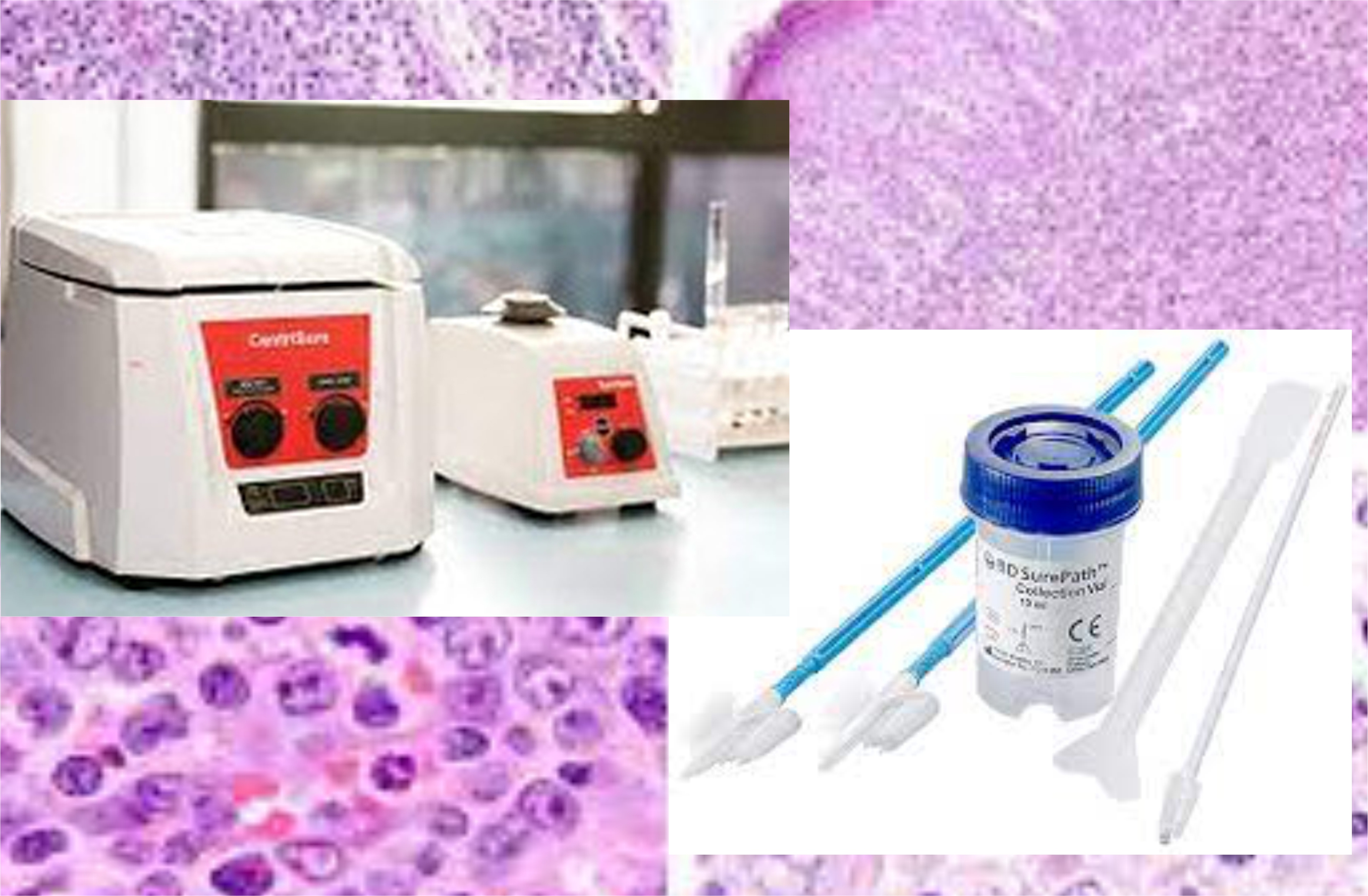 NABL ACCREDITED PATHOLOGY DEPARTMENT 7